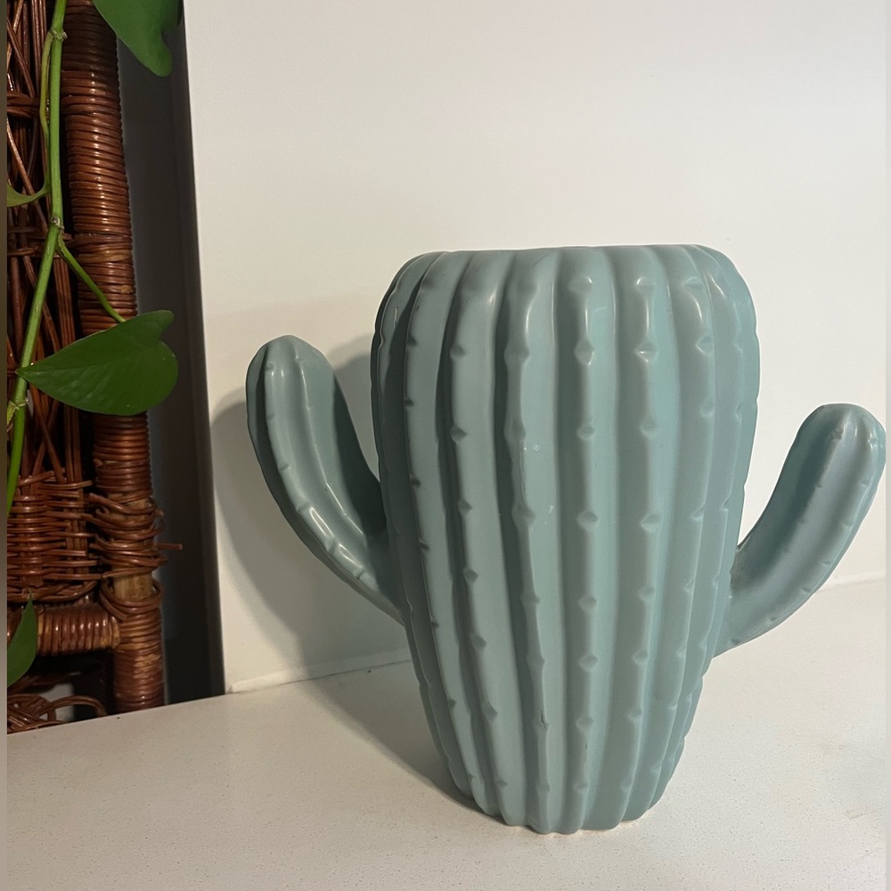 Homesense Cactus Vase/planter pot
